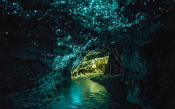 缤纷水果茶无敌版